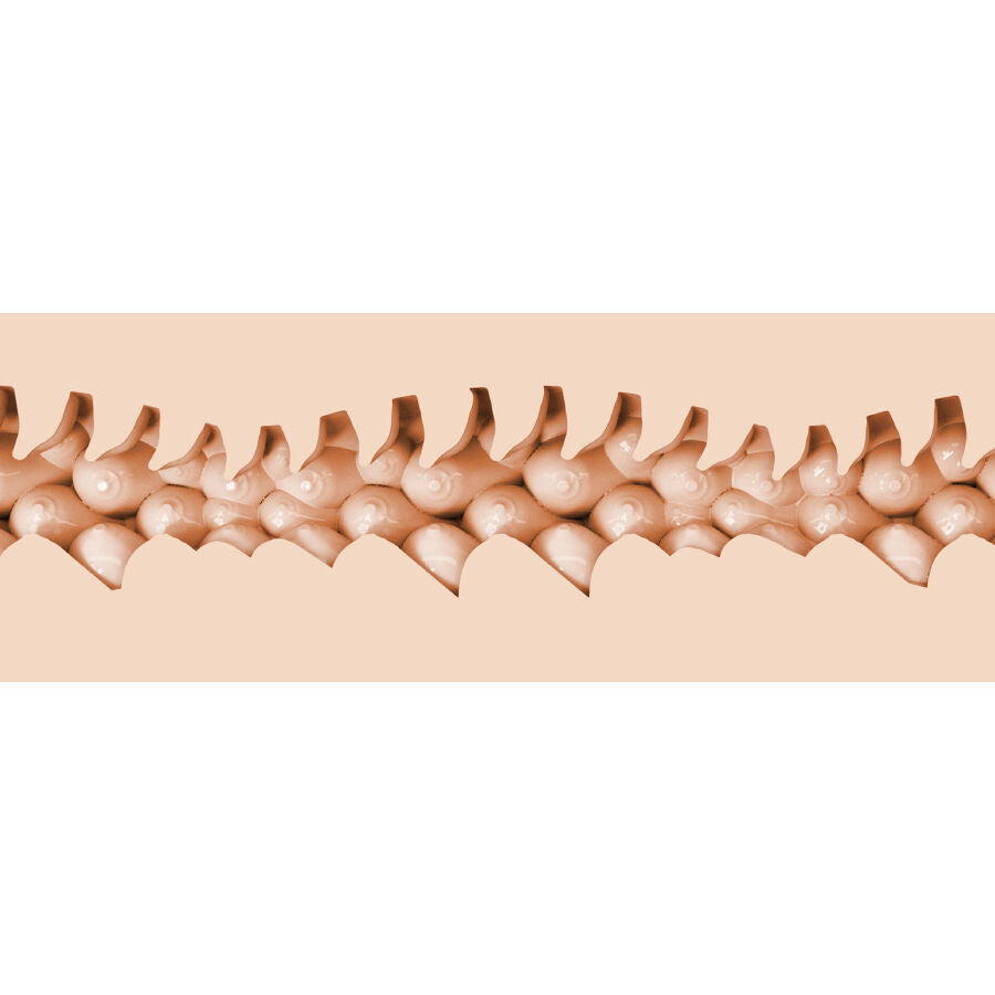 FLESHLIGHT FANTASY - EVIE AKASHIYA VAGIN